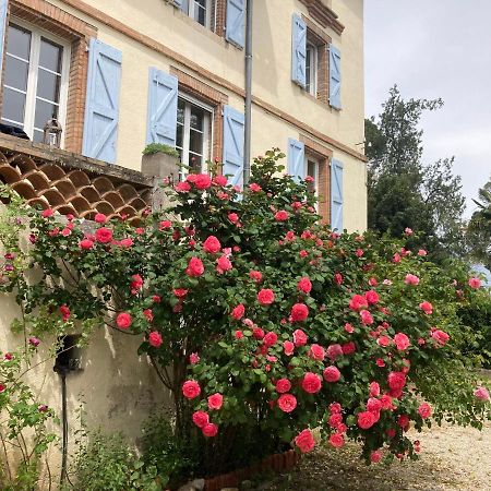Domaine De Menerque - Petit Chateau Avec Piscine Lisle-sur-Tarn Exterior photo