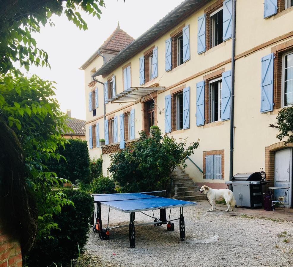 Domaine De Menerque - Petit Chateau Avec Piscine Lisle-sur-Tarn Exterior photo